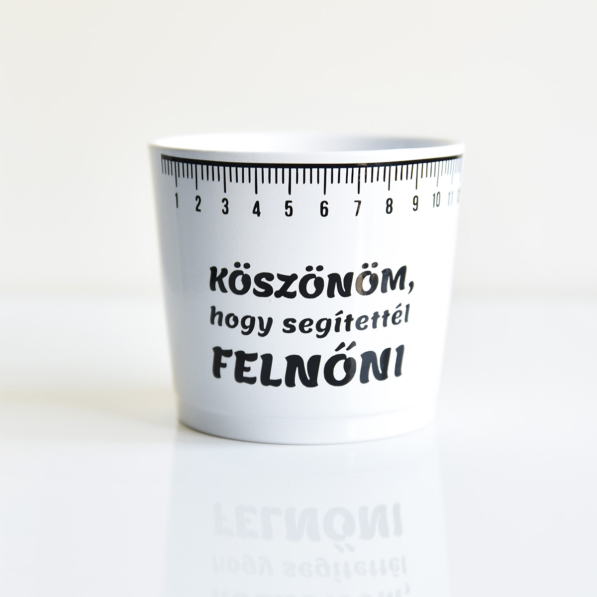 Köszönő ajándék tanároknak