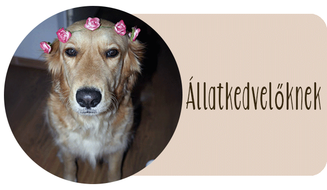 Ajándékötlet állatkedvelőknek