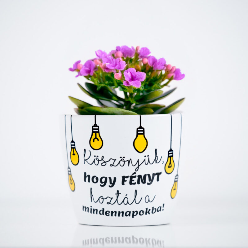 Búcsú ajándék tanároknak ballagásra